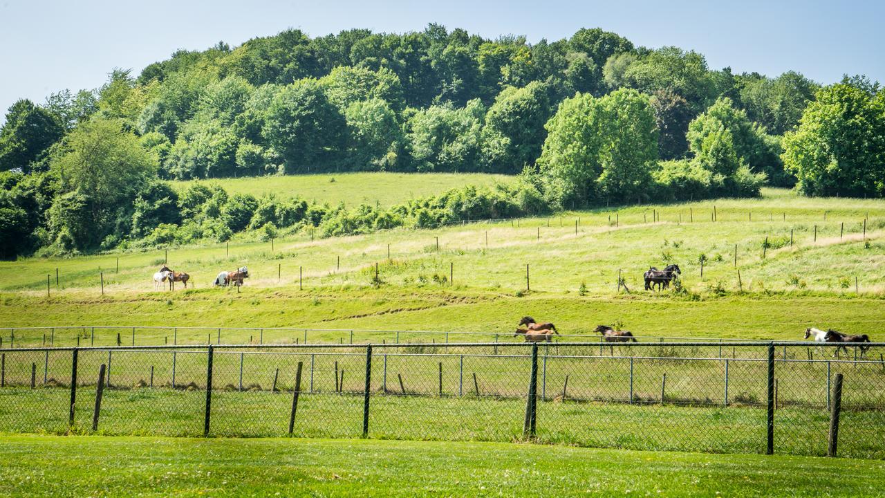 Panorama Sousberg B&B En Appartementen Schin op Geul Eksteriør bilde